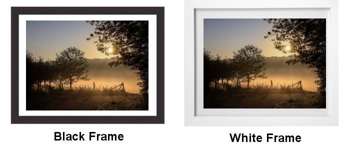 Frame Choice Frame Choice